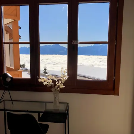 Luxescape-traumaussicht-wandergebiet-paragleiten-mountainbiken-erlebnis Card * Treffen