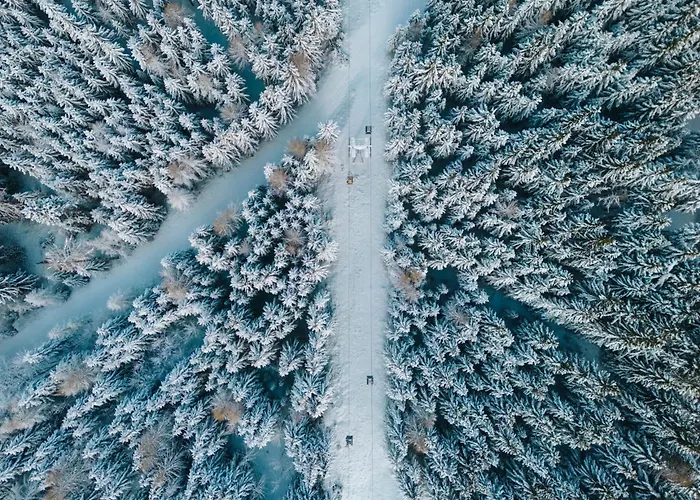 Luxescape-traumaussicht-wandergebiet-paragleiten-mountainbiken-erlebnis Card Apartment *